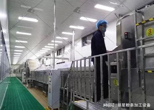 洋芋粉絲粉條機(jī)選購指南 性能、服務(wù)、價(jià)格如何權(quán)衡，告別后悔選擇